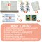 2 Pack Paint By Number Kits for Adults – Black Cat & Flowers DIY Acrylic Paint by Numbers on Canvas for Beginners, Wall Art Craft Set for Home Decor, 12x16 Inch (Unframed)